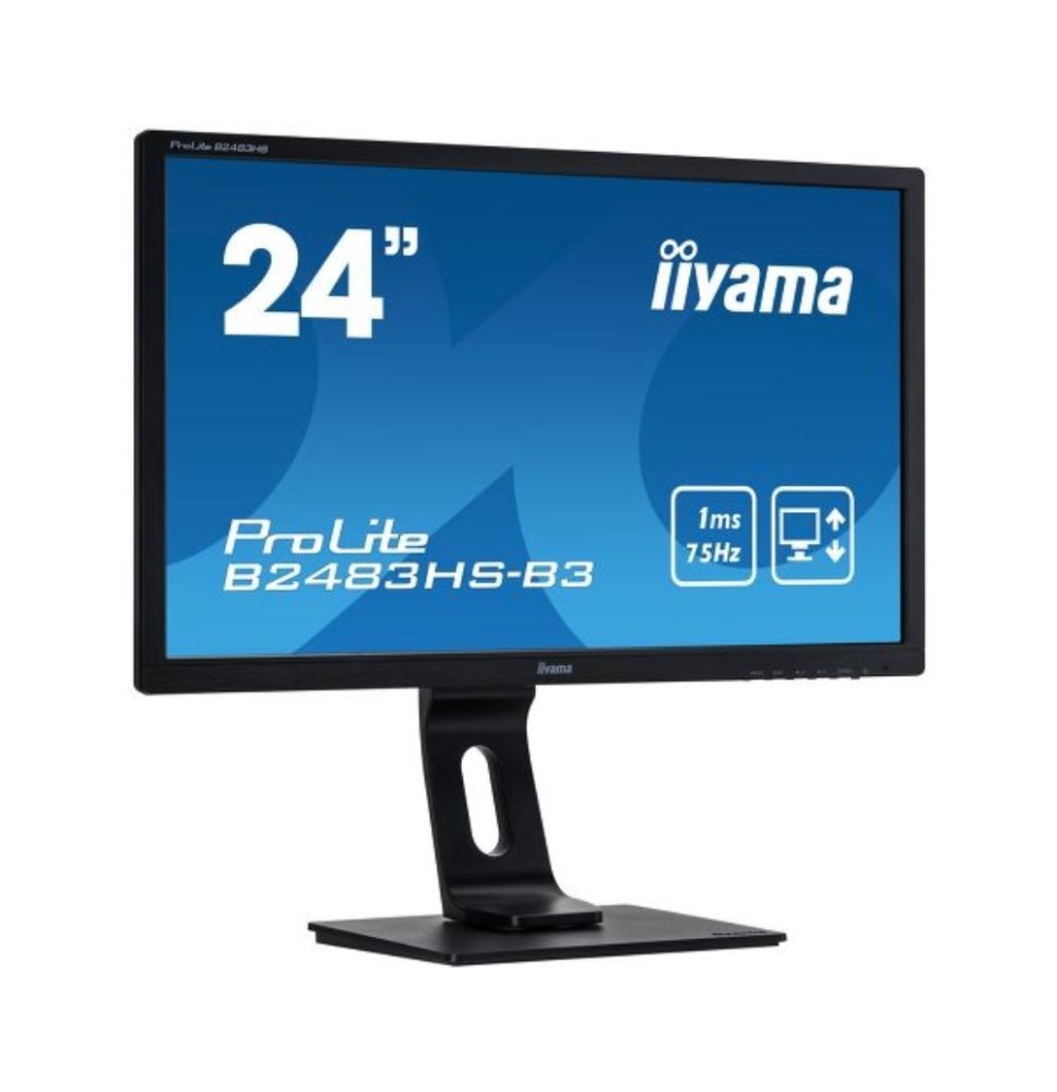 Ecrans Reconditionné IIyama ProLite B2483HS – Grade A - pc pas cher
