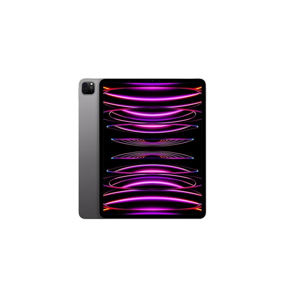 Tablettes Reconditionné Apple iPad Pro 12.9 2021 – Grade B- - informatique occasion