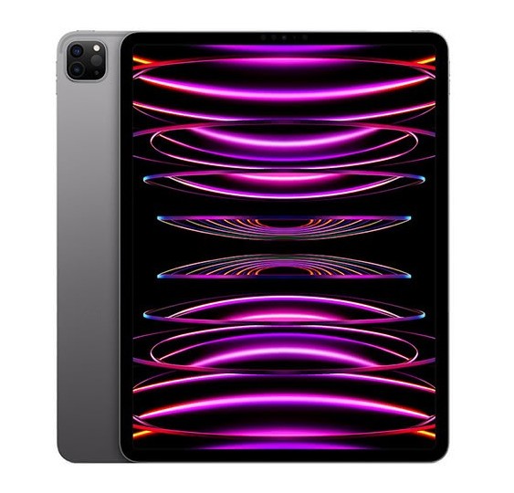Tablettes Reconditionné Apple iPad Pro 12.9 2021 – Grade B- - informatique occasion