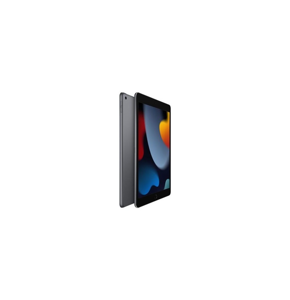 Tablettes Reconditionné Apple iPad 9 2021 – Grade B - ordinateur occasion