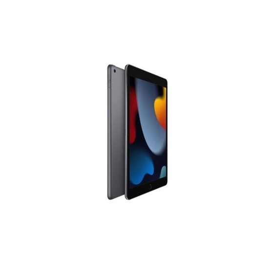 Tablettes Reconditionné Apple iPad 9 2021 – Grade B - ordinateur occasion