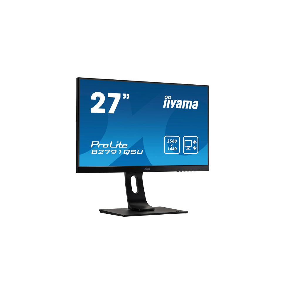 IIyama ProLite B2791QSU – Grade A