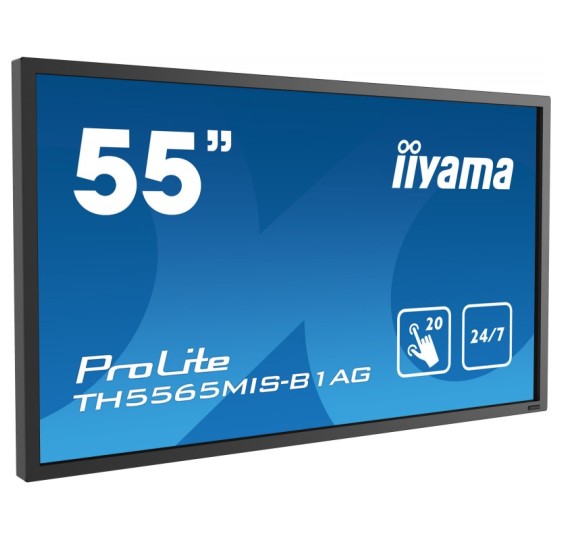 IIyama ProLite TH5565MIS – Grade B