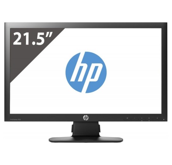 Ecrans Reconditionné HP ProDisplay P221 – Grade A | ordinateur reconditionné - pc occasion